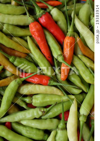 Green and red chili pepper Green and red chili pepper 19383914