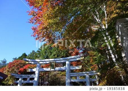 奥秩父　三峯神社　三ツ鳥居　紅葉　青空　２ 19385838