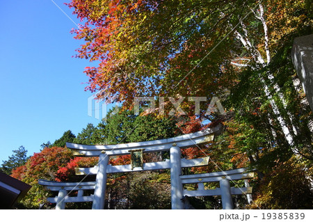 奥秩父　三峯神社　三ツ鳥居　紅葉　青空　３ 19385839