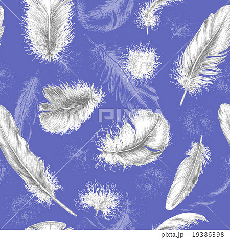 Seamless texture with hand drawn feathers. Seamless texture with hand drawn feathers. 19386398