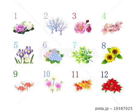 12か月季節の植物と数字のイラスト素材