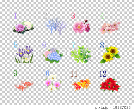 12か月季節の植物と数字 19387025