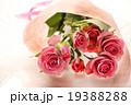 バラ　薔薇　ブーケ　プレゼント　ギフト　花束　愛　プロポーズ　ウエディング　桃色　お祝い　ローズ　 19388288