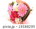バラ　薔薇　ブーケ　プレゼント　ギフト　花束　愛　プロポーズ　ウエディング　桃色　お祝い　ローズ　 19388295
