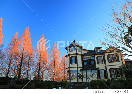 外交官の家 19388441