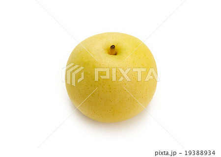 二十世紀梨 二十世紀梨 19388934