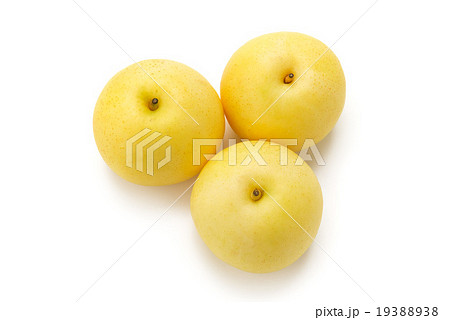 二十世紀梨 二十世紀梨 19388938