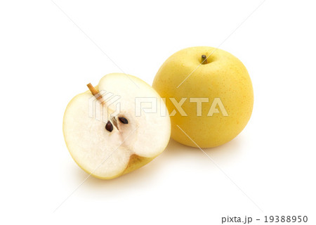 半分にカットした二十世紀梨 19388950
