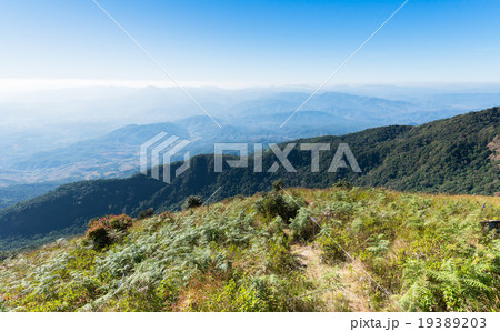 Kew Mae Pan Nature trail. Kew Mae Pan Nature trail. 19389203