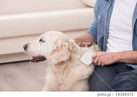 Cheerful young guy is caring of his pet Cheerful young guy is caring of his pet 19389372