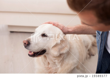 Cute young man is caring of his pet 19389377