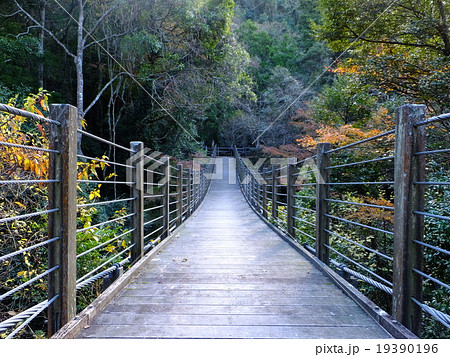 【千葉県】かじか橋 19390196
