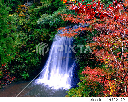 【千葉県】四方木不動滝の紅葉 【千葉県】四方木不動滝の紅葉 19390199