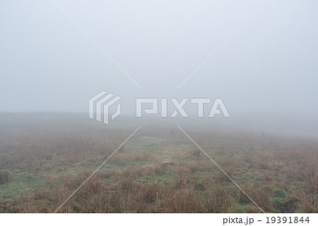 霧の草原 霧の草原 19391844