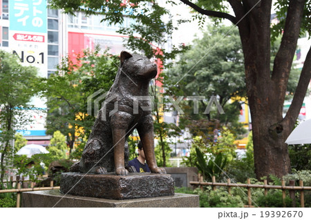 渋谷の忠犬ハチ公 渋谷の忠犬ハチ公 19392670