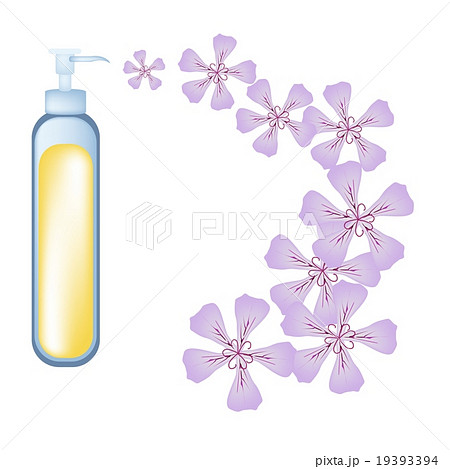 Rose Geraniumor Pelargonium Graveolens 19393394