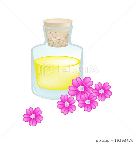 Achillea Millefolium with Essential Oil Achillea Millefolium with Essential Oil 19393476