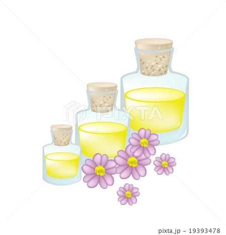 Pink Yarrow or Achillea Millefolium Pink Yarrow or Achillea Millefolium 19393478
