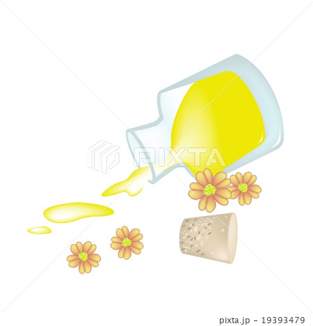 Achillea Millefolium with Essential Oil Achillea Millefolium with Essential Oil 19393479