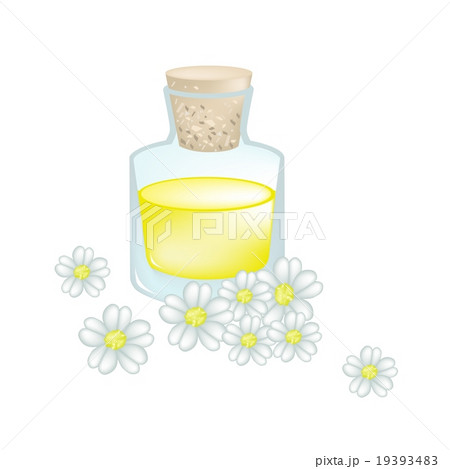 White Yarrow Blossoms with Essential Oil White Yarrow Blossoms with Essential Oil 19393483