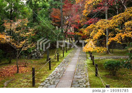 秋の鹿王院 秋の鹿王院 19393785