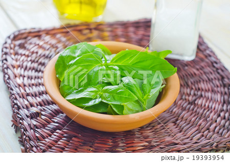 fresh basil 19393954