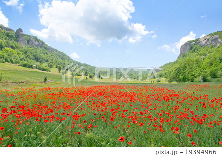 mountain in Crimea 19394966
