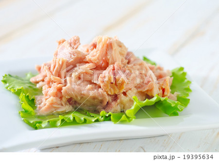 salad from tuna 19395634