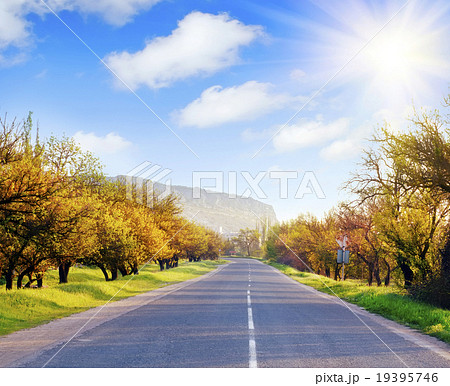 Beach Beach 19395746