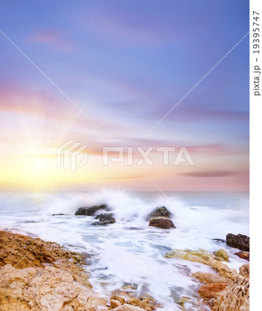 Beach Beach 19395747