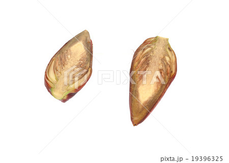 banana blossom isolated on white 19396325