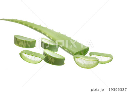 aloe vera fresh leaf. isolated over white aloe vera fresh leaf. isolated over white 19396327