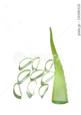 aloe vera fresh leaf. isolated over white aloe vera fresh leaf. isolated over white 19396328