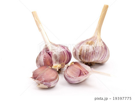 Garlic isolated on white 19397775