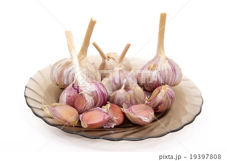 Garlic on plate 19397808