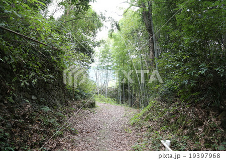 長崎街道の写真 19397968
