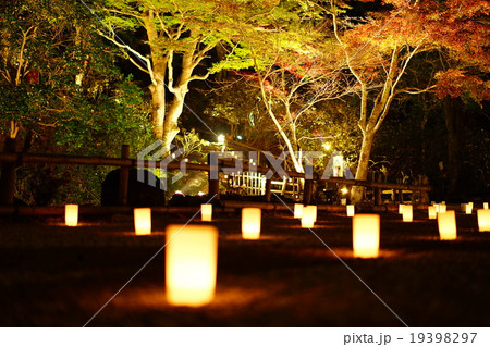 室生寺 ライトアップの写真素材