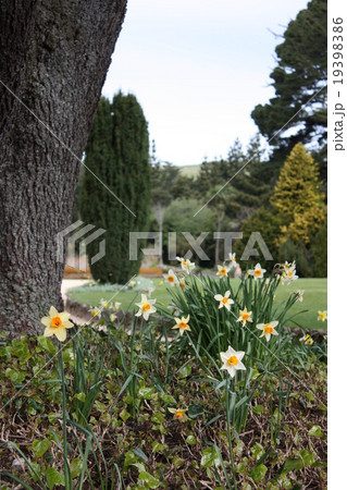 ラーナック城の庭 19398386