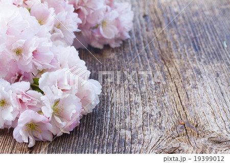 twigs with cherry flowers 19399012
