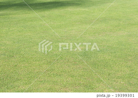 green grass field of sport playing area 19399301