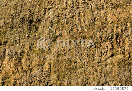 Clay Rock Walll 19399875