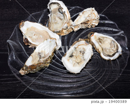 Oysters  still life 19400389