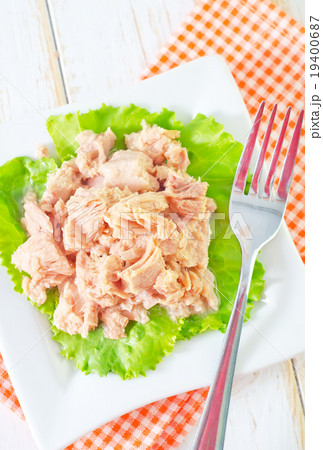 salad from tuna salad from tuna 19400687