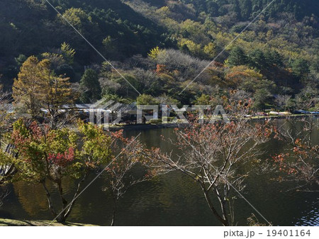 紅葉の藺牟田池自然公園 19401164