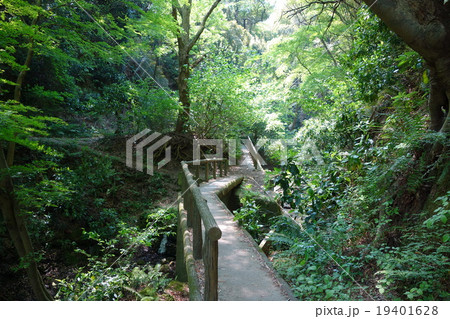 大楠山入口 19401628