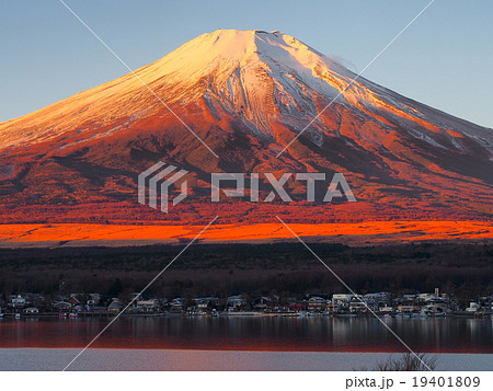 紅富士の写真素材 [19401809] - PIXTA