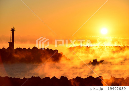 久礼湾の朝日 19402089