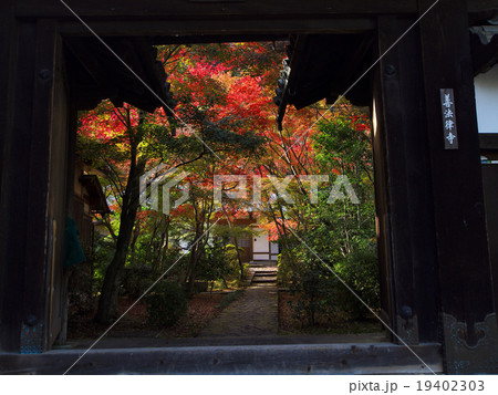 善法律寺 19402303