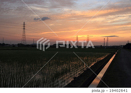 さいたま市岩槻区の田園夕刻 19402641