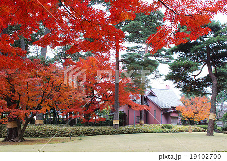大田黒公園の紅葉 19402700